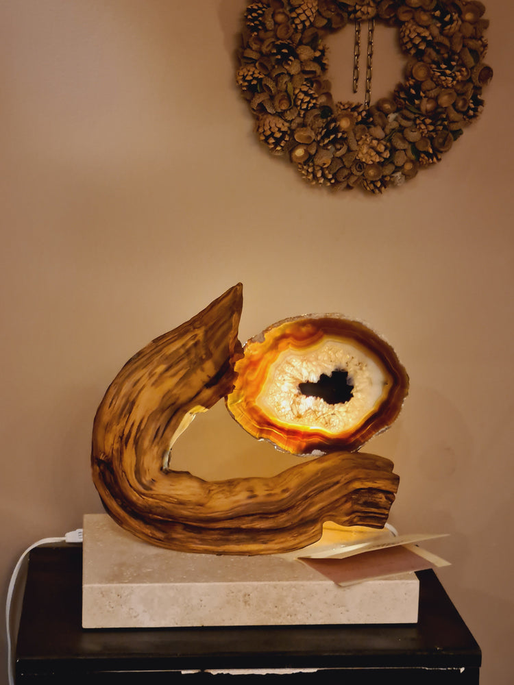 Sculture Armoniche Viventi