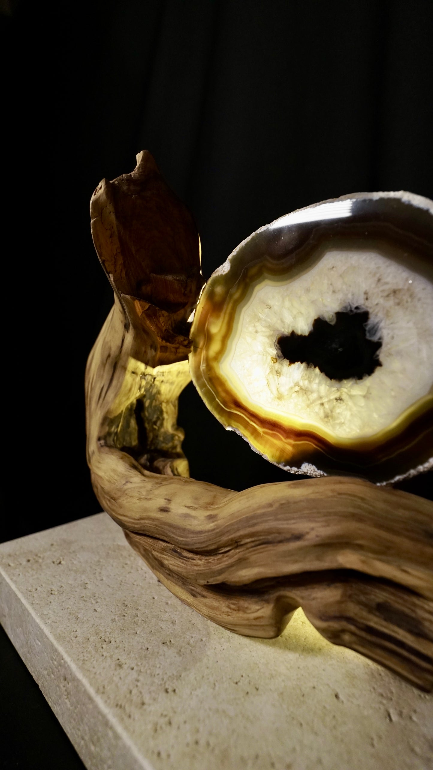 COD:TGS0001 – L’ONDA “Una Sola Cosa”