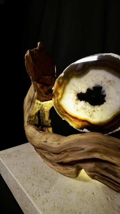 COD:TGS0001 – L’ONDA “Una Sola Cosa”