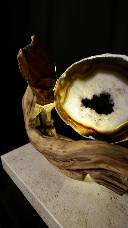 COD:TGS0001 – L’ONDA “Una Sola Cosa”