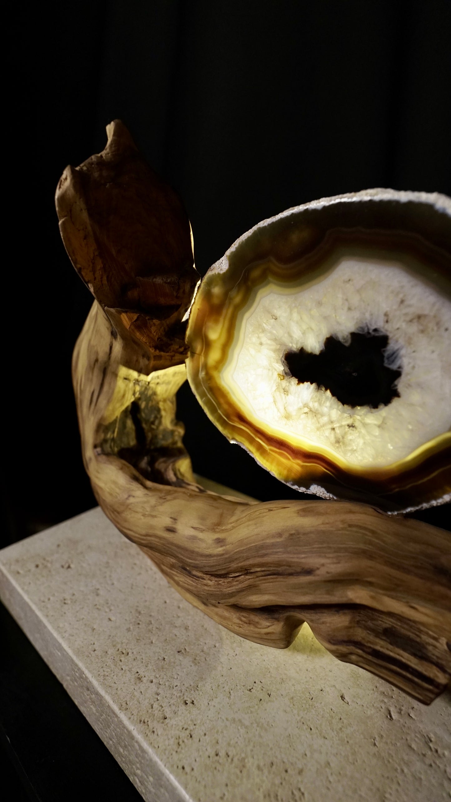 COD:TGS0001 – L’ONDA “Una Sola Cosa”