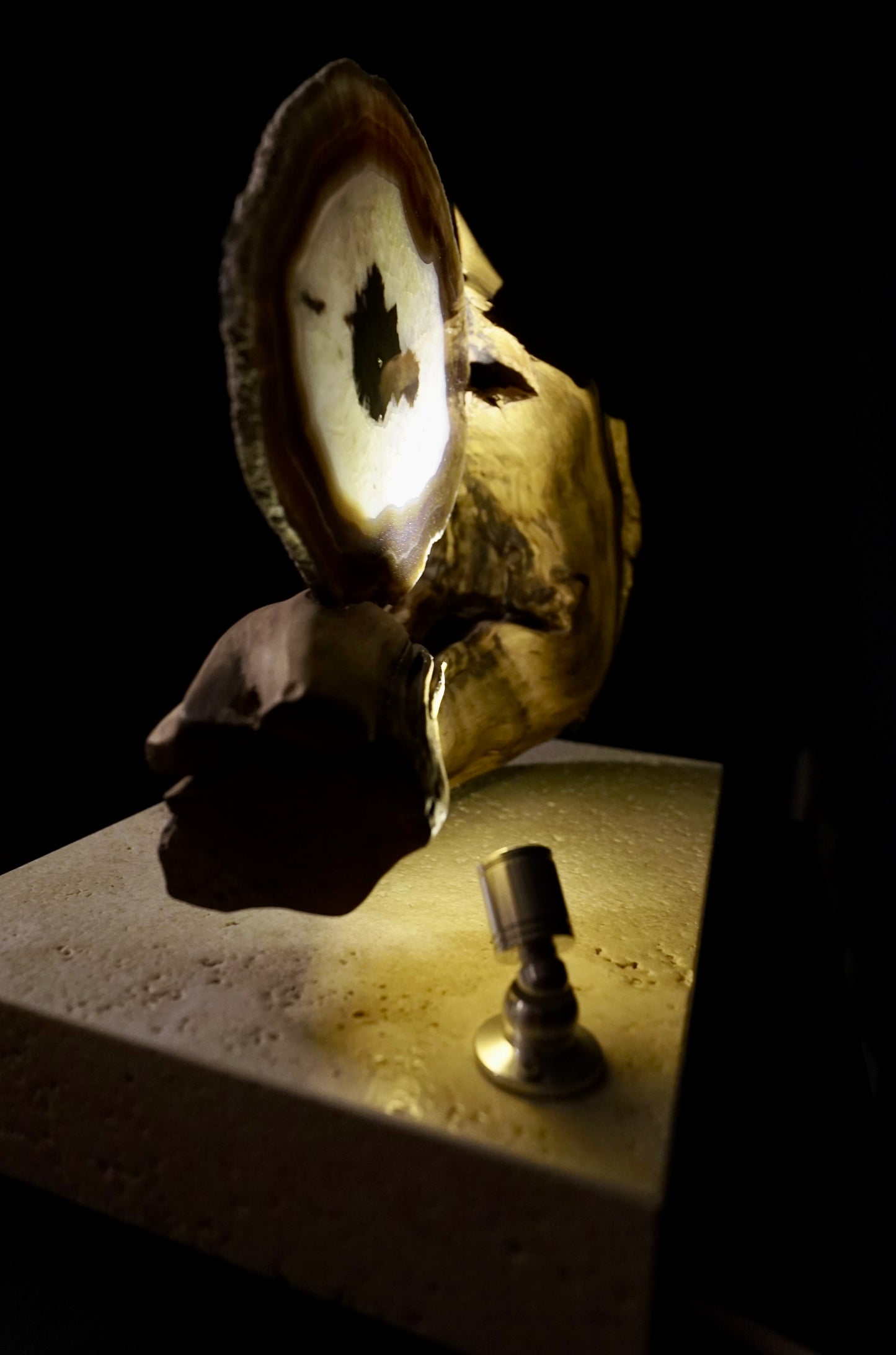 COD:TGS0001 – L’ONDA “Una Sola Cosa”