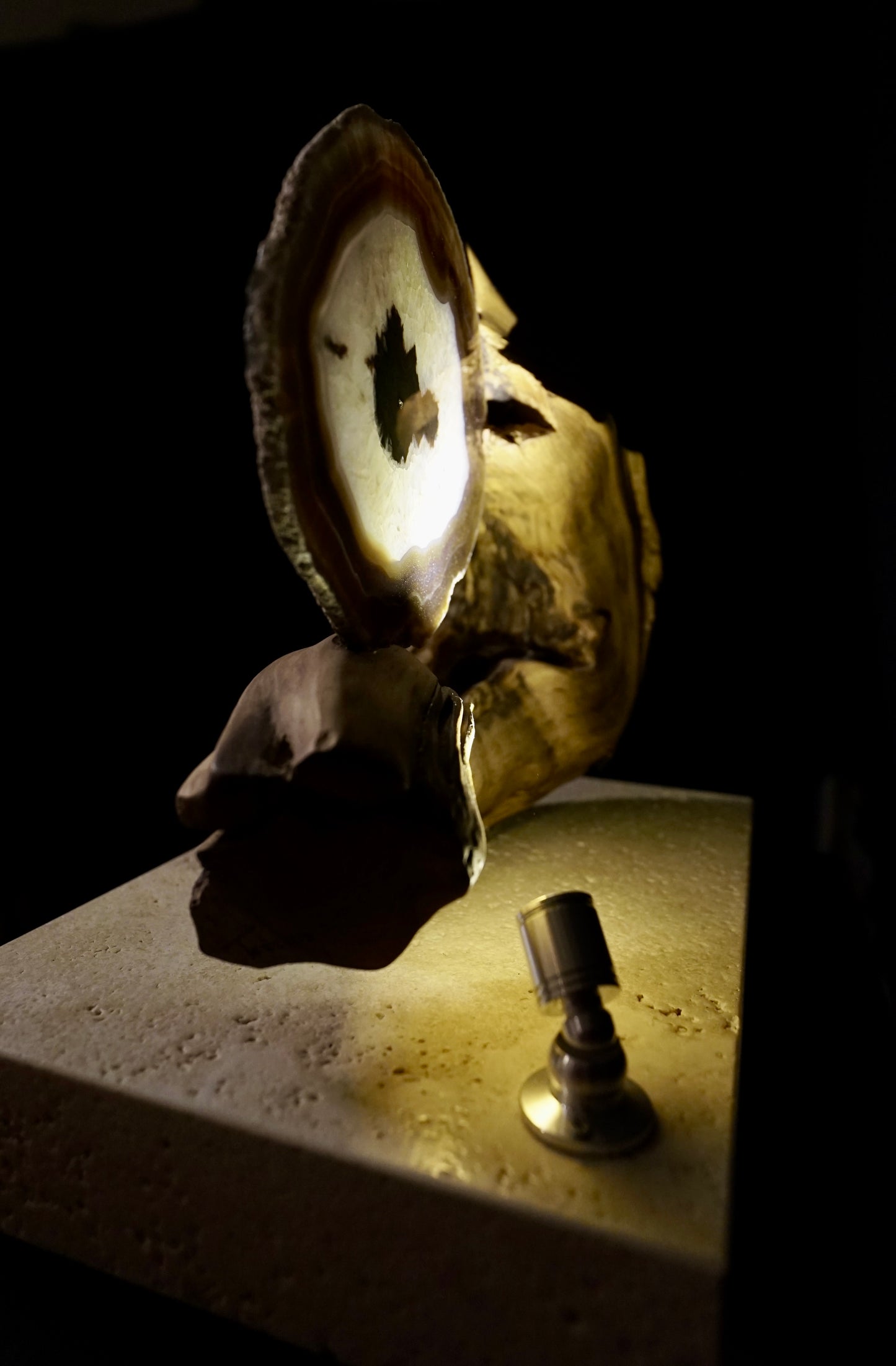 COD:TGS0001 – L’ONDA “Una Sola Cosa”