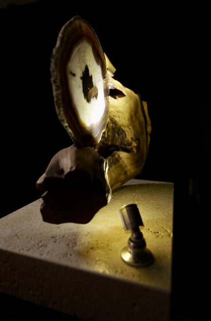 COD:TGS0001 – L’ONDA “Una Sola Cosa”