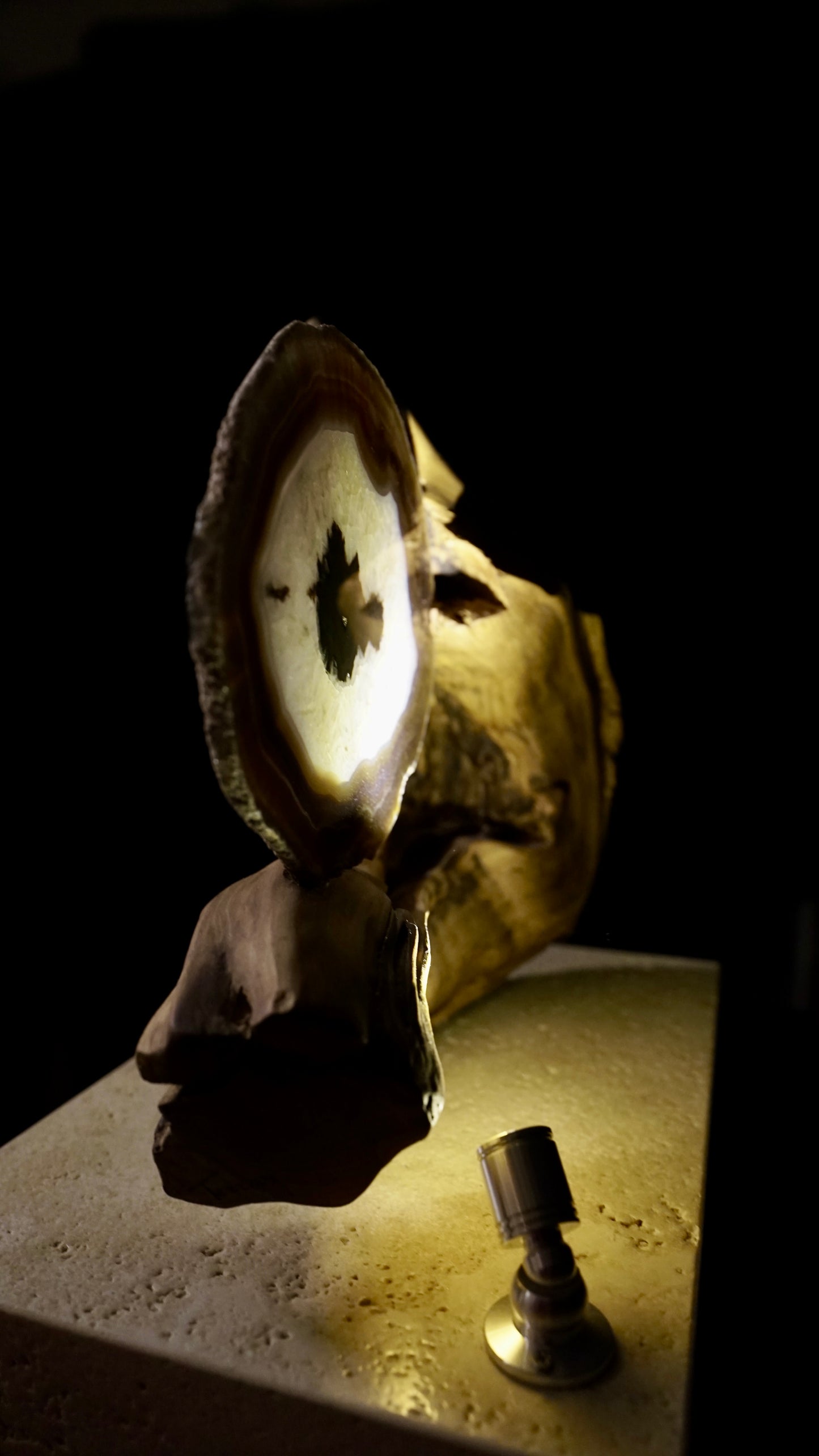 COD:TGS0001 – L’ONDA “Una Sola Cosa”