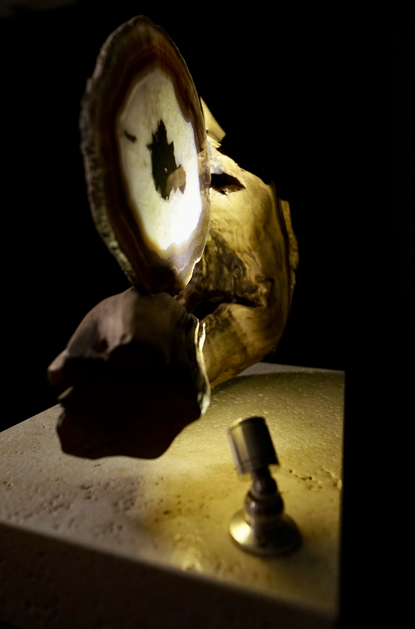 COD:TGS0001 – L’ONDA “Una Sola Cosa”