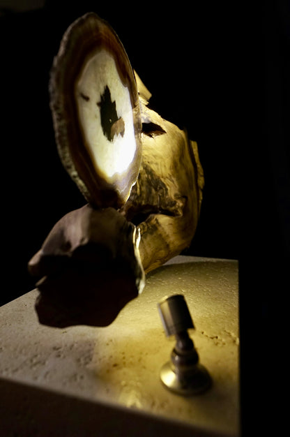 COD:TGS0001 – L’ONDA “Una Sola Cosa”