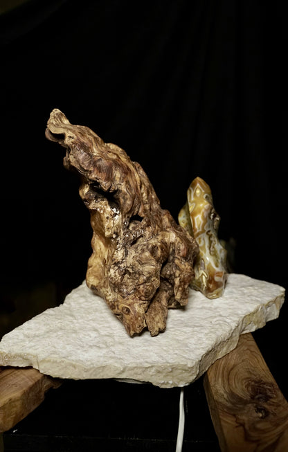 COD:TGS0002 – LA DIREZIONE – LA VIA – LA LUCE