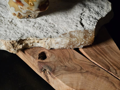 COD:TGS0002 – LA DIREZIONE – LA VIA – LA LUCE