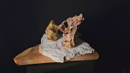 COD:TGS0002 – LA DIREZIONE – LA VIA – LA LUCE